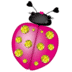 ZIZE Dupanier | Site officiel